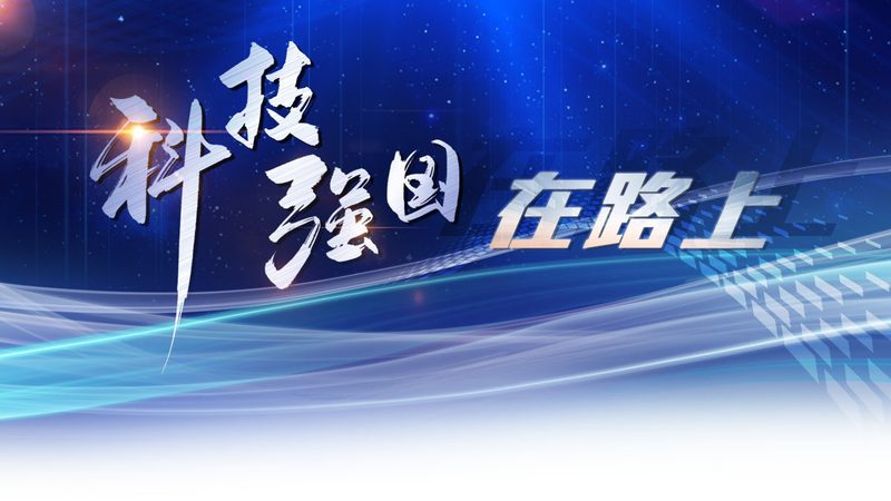 软件测试自动化：工资构成与行业洞察